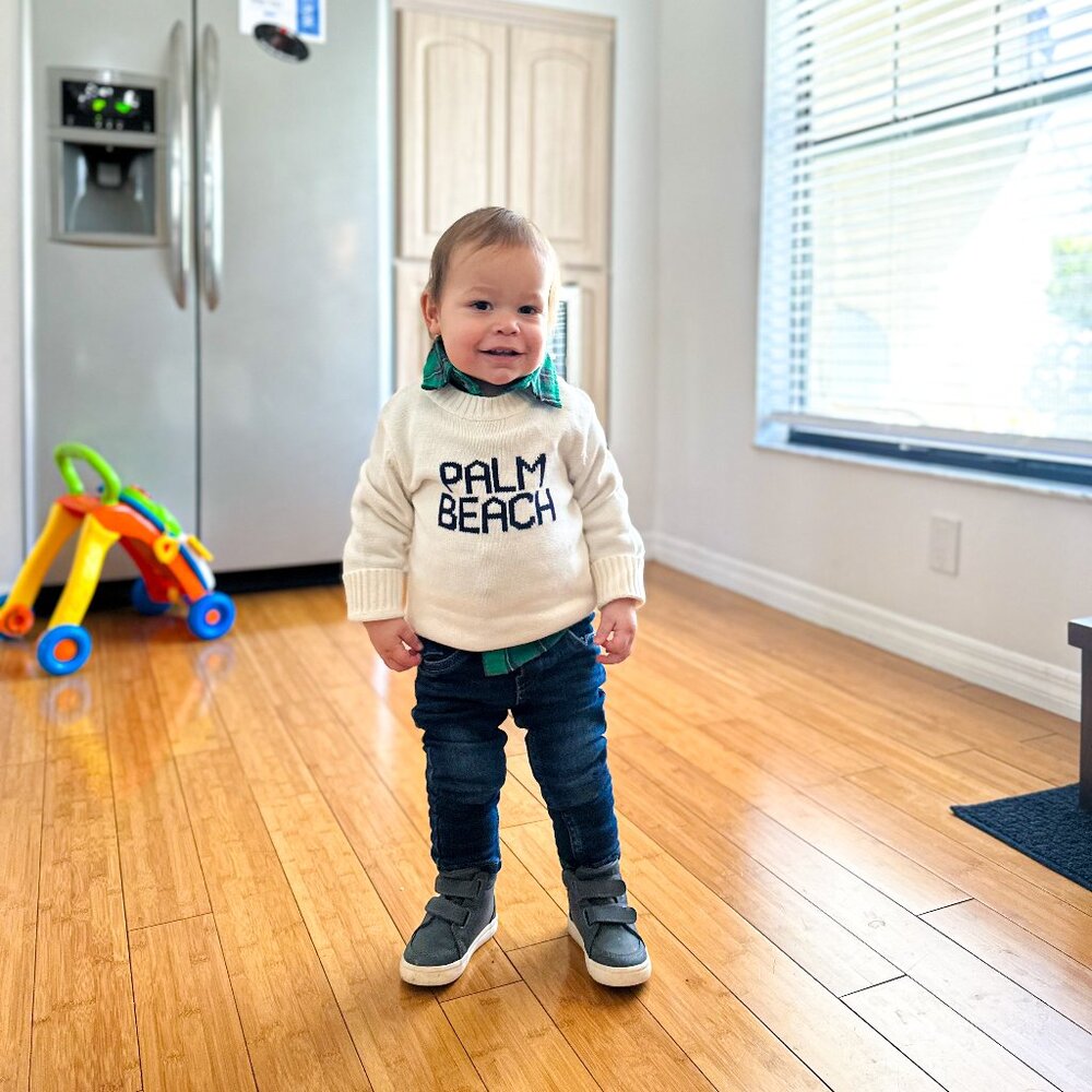 Ellsworth + Ivy Toddler Palm Beach Sweaters in Boys 4T and 3T